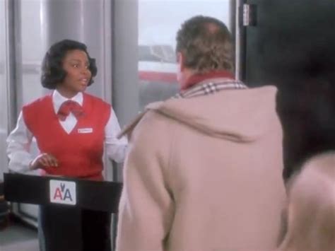 flight attendant home alone 2